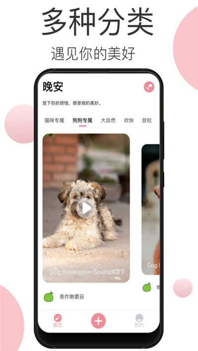 宠物音乐图5
