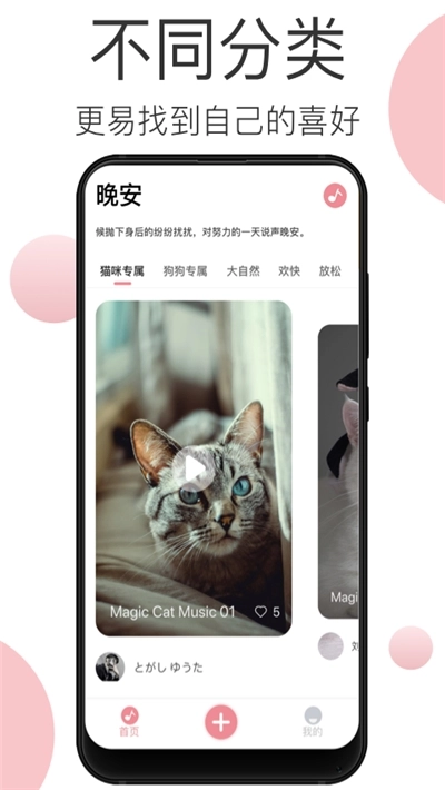 宠物音乐图2