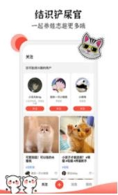 猫猫社免费版图1