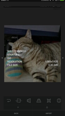 SKRWT图1