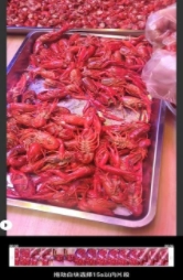 吉芸图片编辑