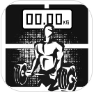 手机电子秤2026最新版