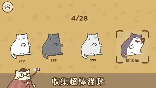音乐猫咪(2)