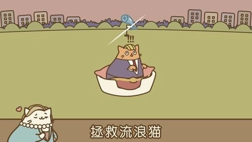 音乐猫咪(3)