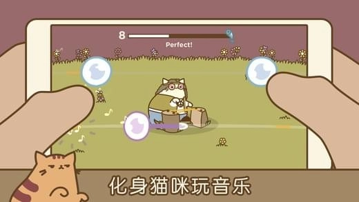 音乐猫咪(1)