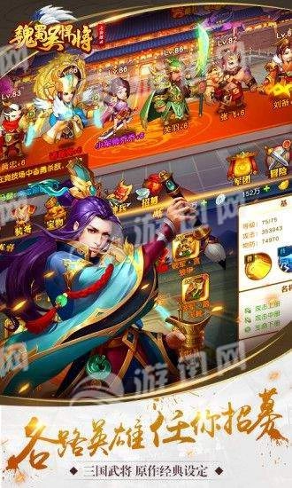 魏蜀吴悍将之枭雄录图2