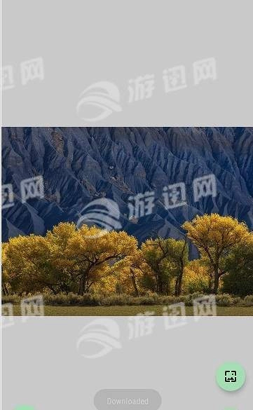 完美壁纸官方版图2