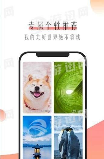 米柚壁纸最新版图2