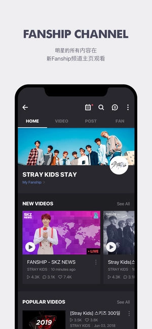 V 图4