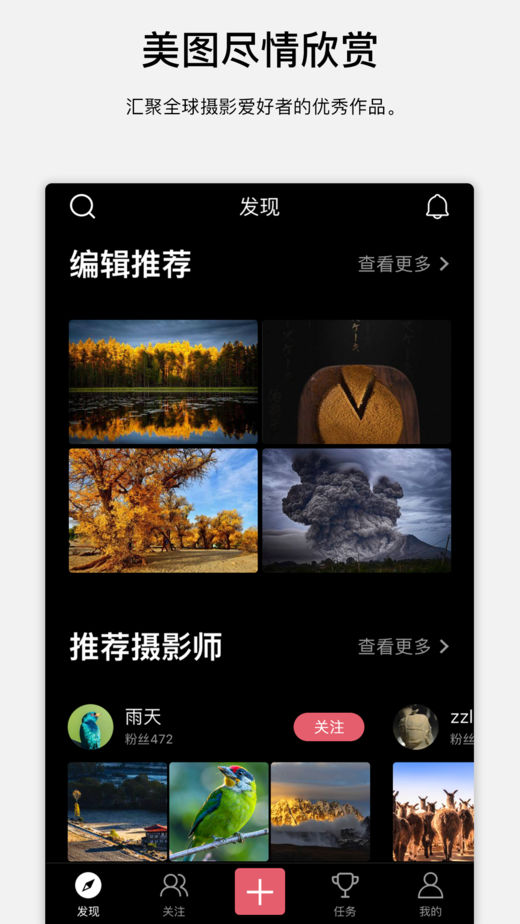 探图网图8