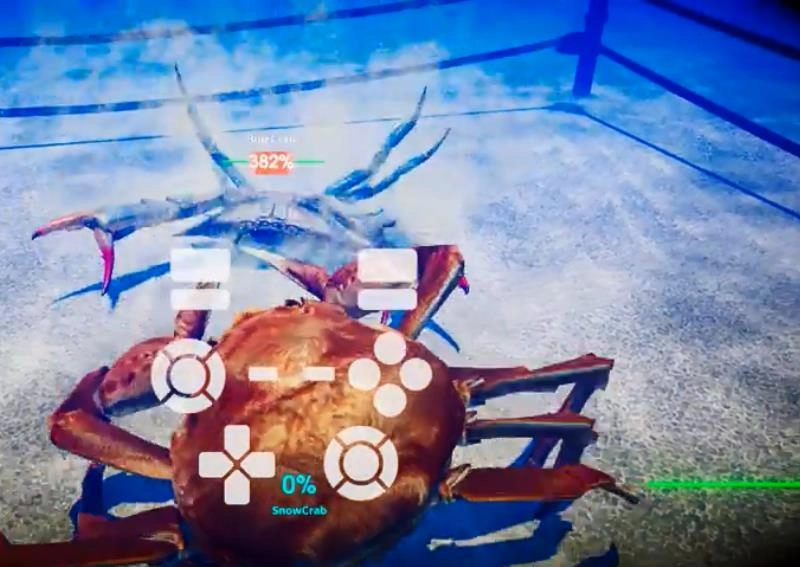 小龙虾大战大闸蟹图3