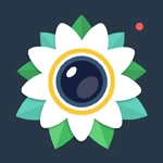 花瓣贴纸相机