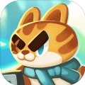 亲吻猫咪