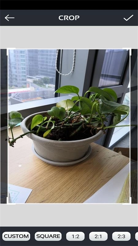 激发你的灵感图1