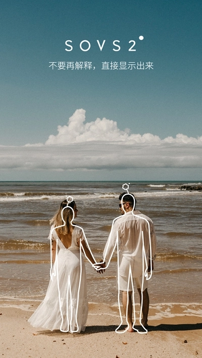 SOVS2图3