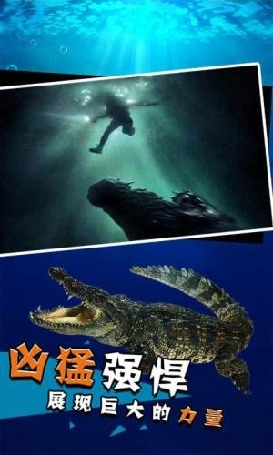 史前巨鳄图3