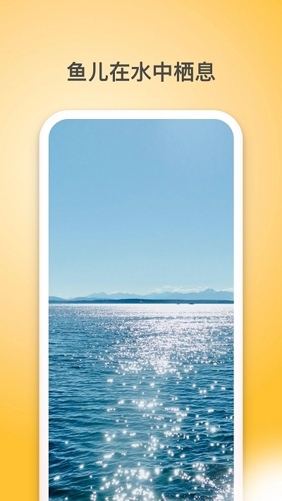 夏橙光遇截图4
