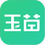 玉苗