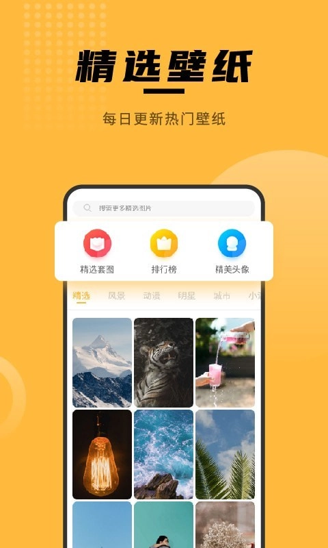 赢动壁纸大全图3