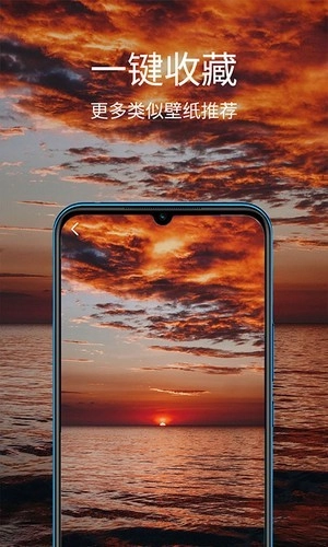 掌上聚合壁纸安卓版图2