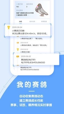 信鸽纵横官方版图4