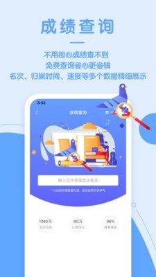 信鸽纵横官方版图3