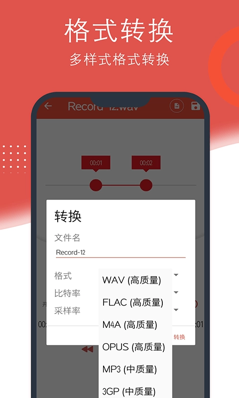 小众录音安卓免费版图3