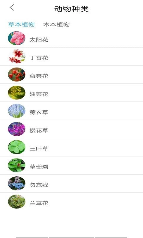 桃桃识植物(4)