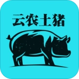云农土猪正版