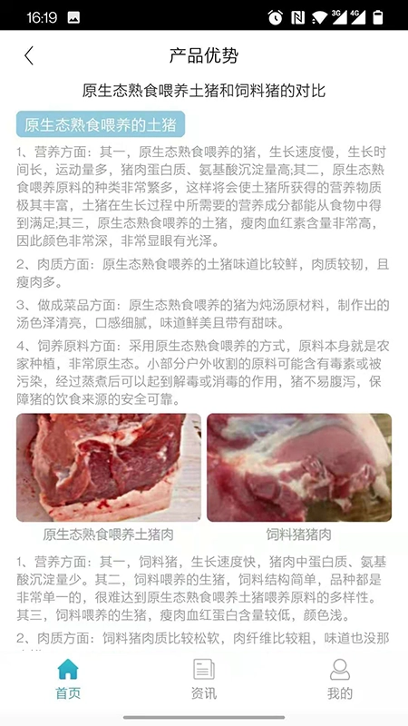 云农土猪正版