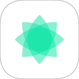 curve icon