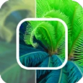 数创模糊照片修复