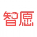 智愿