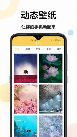 高清壁纸图3