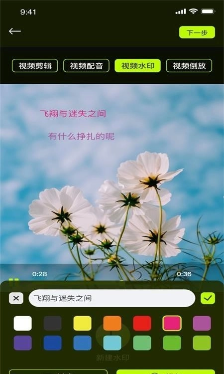 小猫剪辑图4
