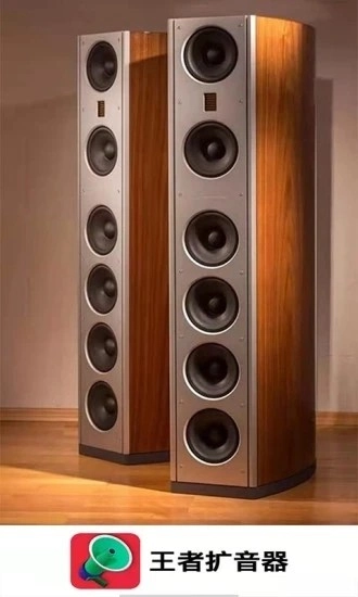 王者扩音器安卓直装版图2