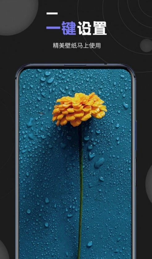 个性壁纸大全图3