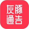 灰豚通告最新版