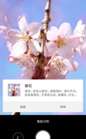 智能识物图2