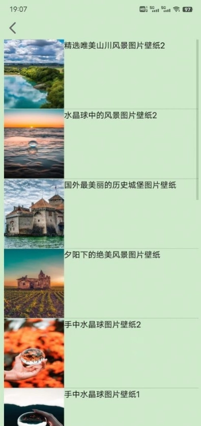 飞云鸟安卓直装版图4
