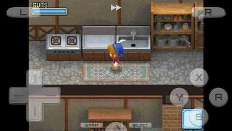 牧场物语之风之集市官方最新版图2