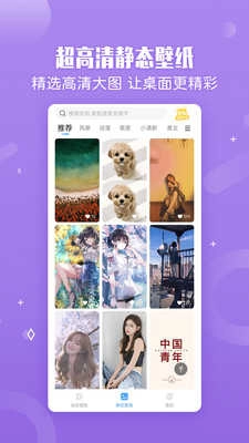 小鸟壁纸手机版图2
