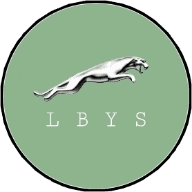 猎豹影视手机最新版