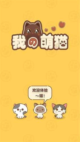 我的萌猫图1