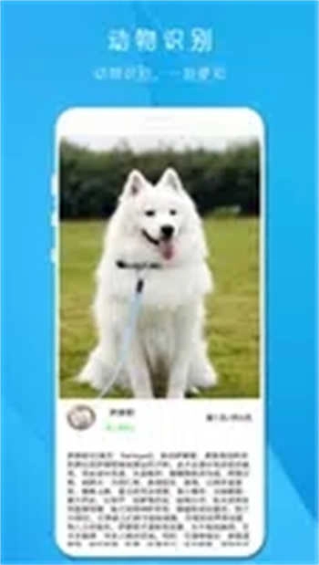 拍照识万物手机版图2