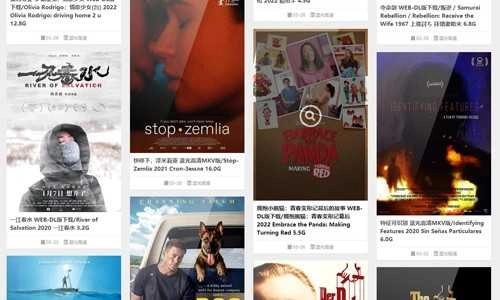 音范丝最新版图3