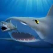 海底饥饿大猎杀