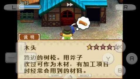 牧场物语之风之集市官方最新版图1