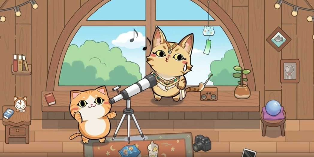 猫别野图3