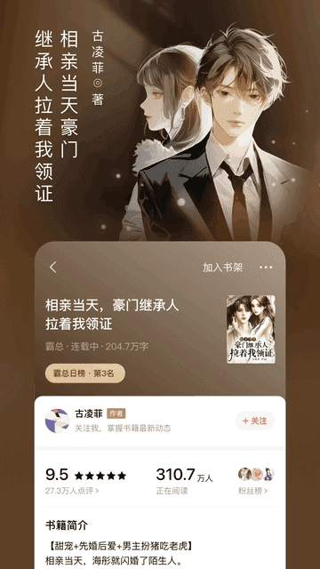 番茄小说安卓版图2